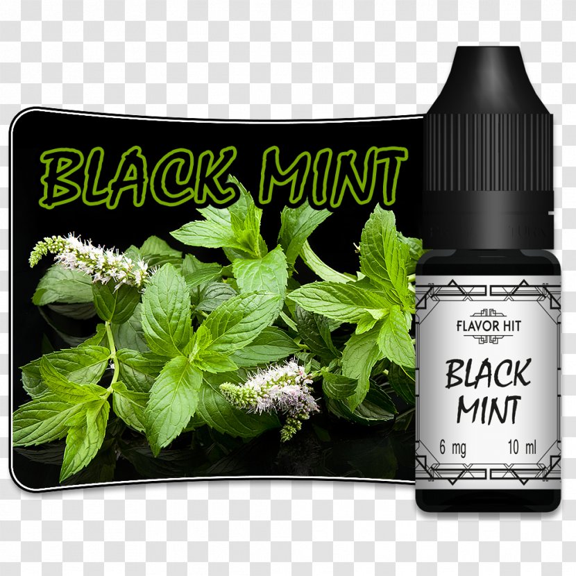 Menthol Electronic Cigarette Aerosol And Liquid Flavor Taste Mint Transparent PNG