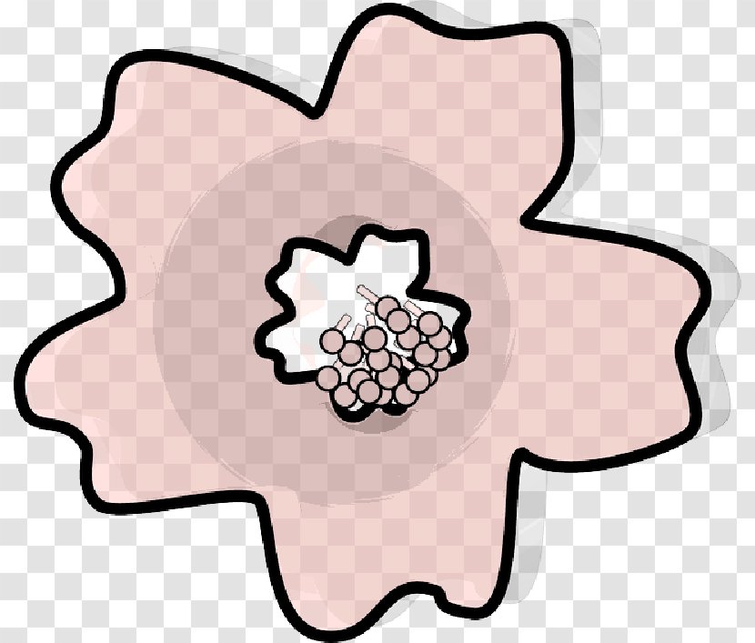 Cherry Blossom Clip Art Drawing Image Transparent PNG
