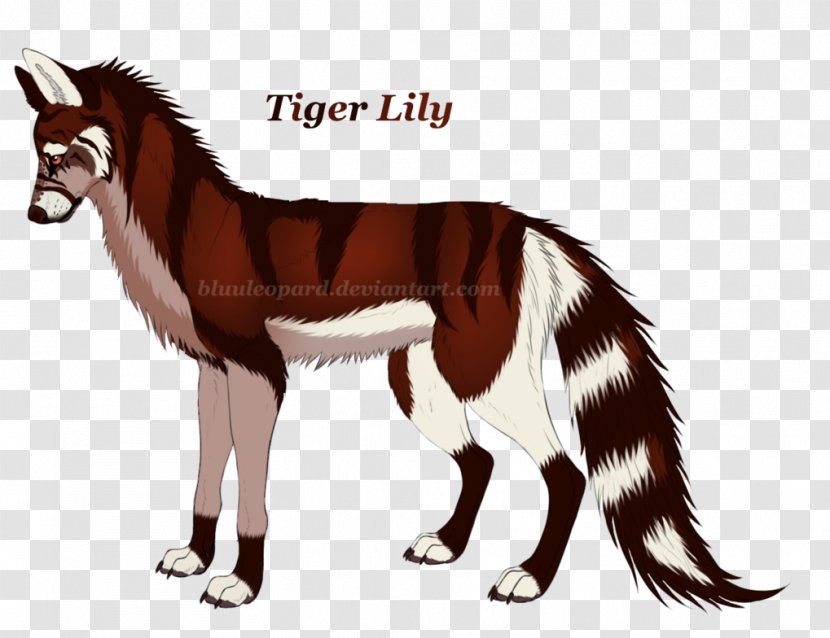 Dog Cat Horse Fur Paw Transparent PNG