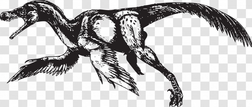 Bambiraptor Velociraptor Bird Tyrannosaurus Dinosaur - Fictional Character - Flying Dinosaurs Transparent PNG