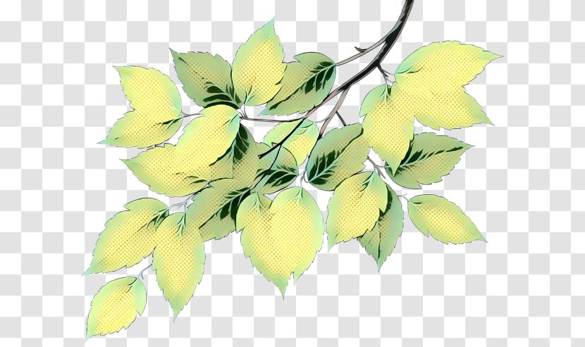 Plant Stem Leaf Flowering Branching Plants - Yellow - Ivy Transparent PNG