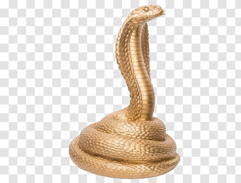 Snakes King Cobra Image - Serpent - Snake Transparent PNG