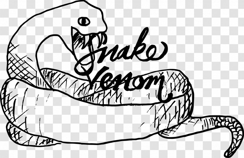 Carnivora Drawing Line Art Clip - Frame - Venomous Snake Transparent PNG