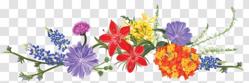 Wildflower Watercolour Flowers Flower Bouquet Clip Art - Arranging Transparent PNG