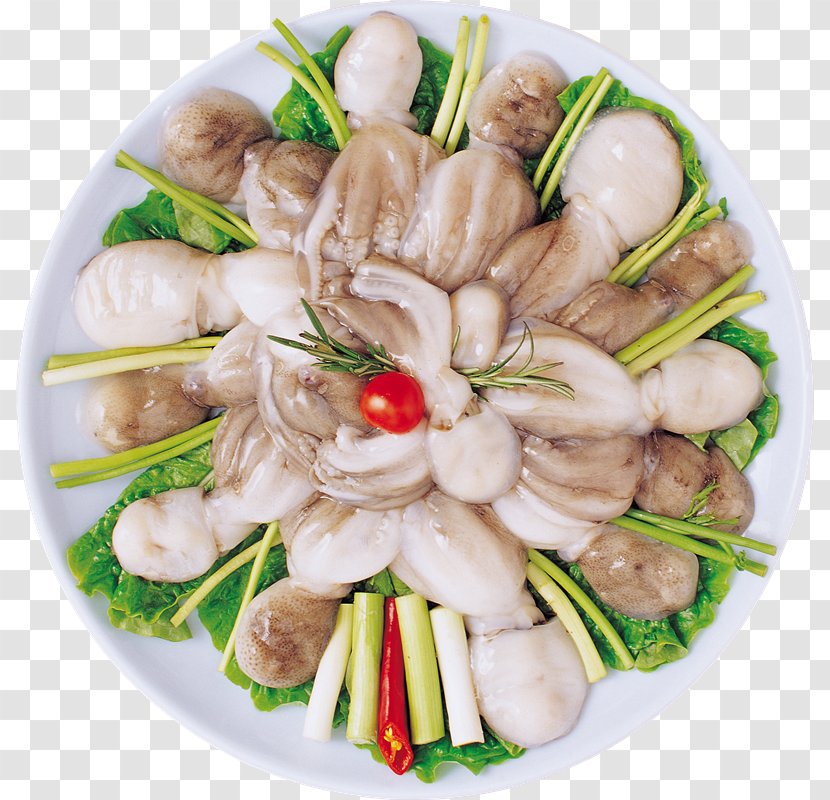Squid As Food Seafood Clam Octopus - Clams Oysters Mussels And Scallops - Platos Transparent PNG