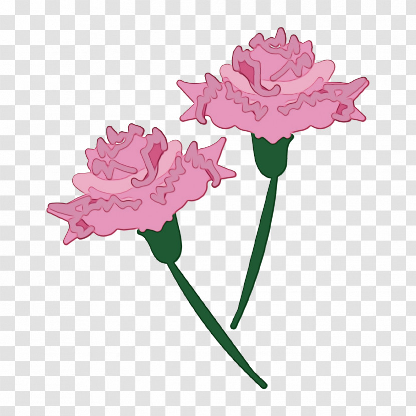 Flower Pink Cut Flowers Plant Petal Transparent PNG
