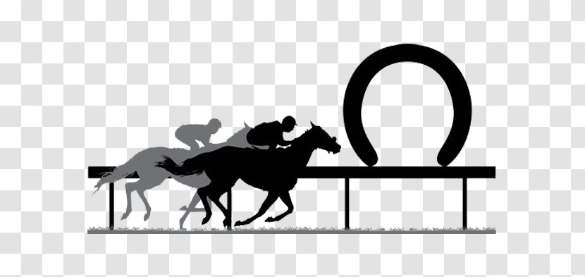 Standardbred Horse Racing Thoroughbred Galway Races - Stallion - Stables Vector Transparent PNG