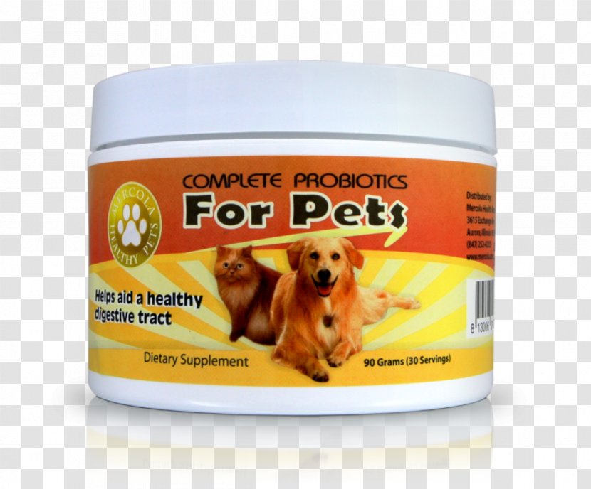 Dog Cat Probiotic Pet Veterinarian Transparent PNG