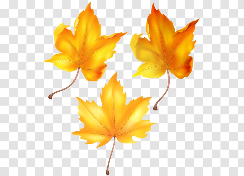 Autumn Image Clip Art - Yellow Transparent PNG