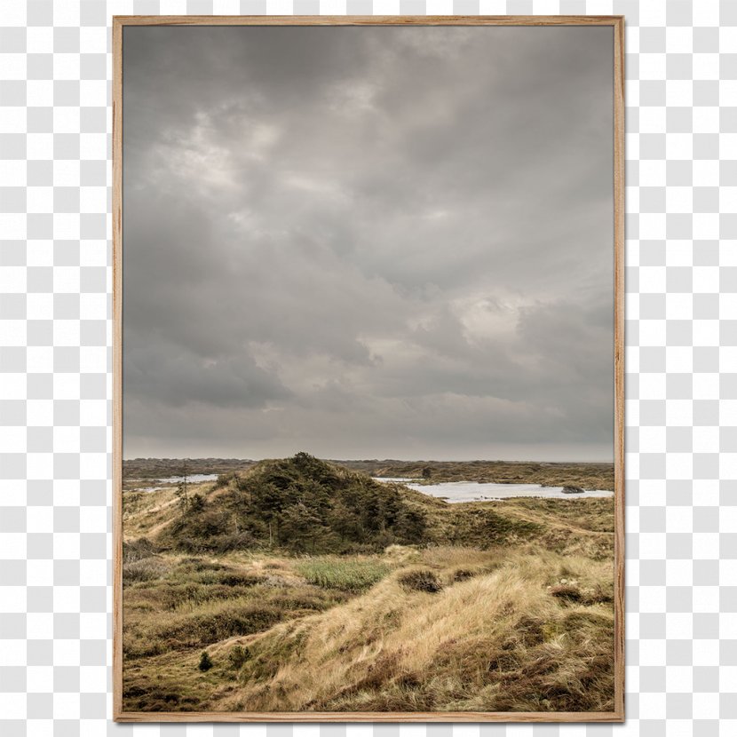 Poster Fanø Beach Shore Photography - Prairie - Tundra Transparent PNG