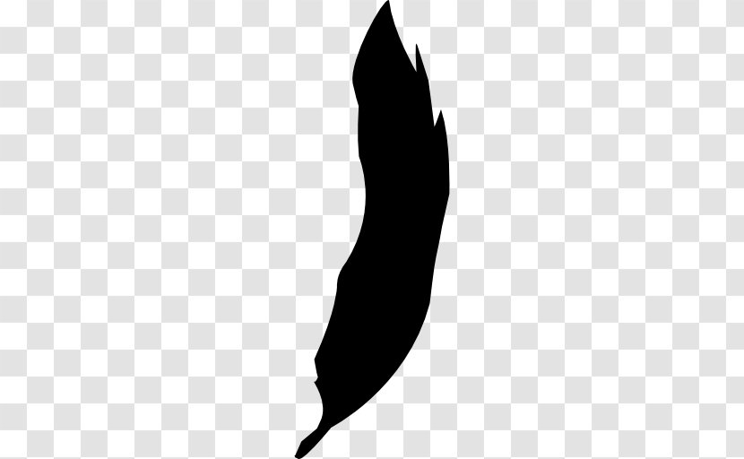 Bird Feather Silhouette Photography Drawing Transparent PNG