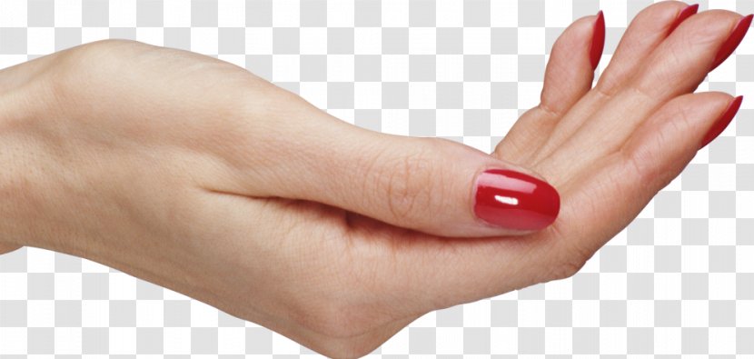 Hand Palm Finger Transparent PNG