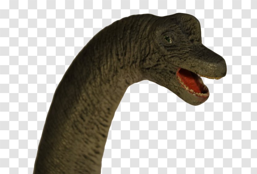 Beak Neck - Dinosaur - Brachiosaurus Transparent PNG