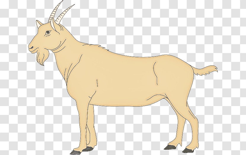 Antelope Wildlife Cow-goat Family Oryx Animal Figure Transparent PNG