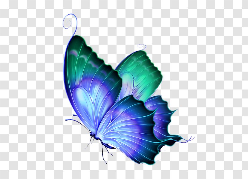 Clip Art Butterfly Image Borboleta - Wing - Clipart Blue Transparent PNG