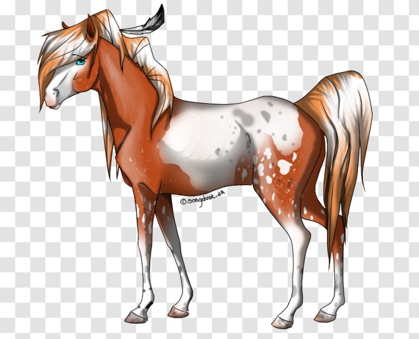 Mustang Stallion Mane Foal Mare - Horse - Fantasy Transparent PNG