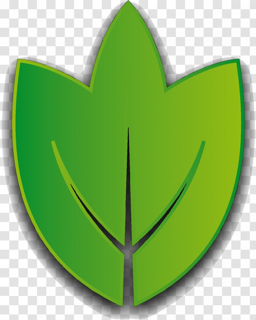Leaf Graphics Symbol - Emblem - Logo Transparent PNG