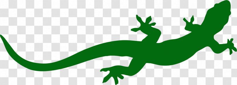 Reptile Amphibian Frog Snake Terarij - Salamander Transparent PNG
