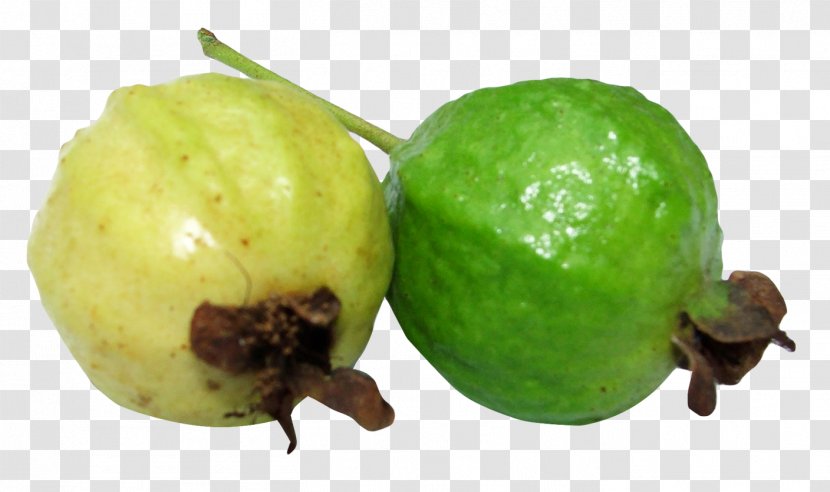 Common Guava Fruit Lime - Food Transparent PNG