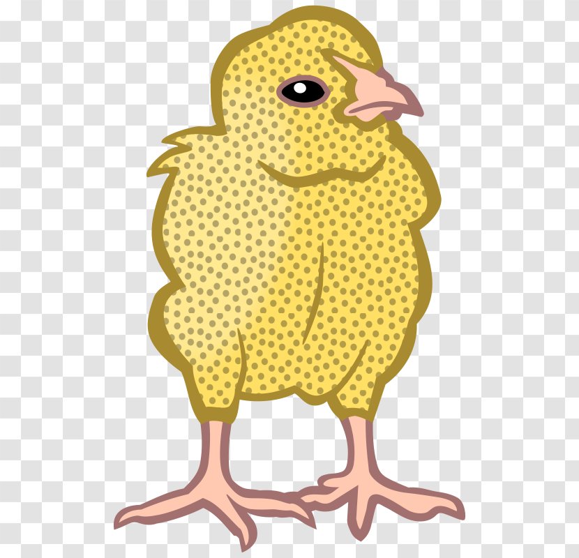 Chicken Drawing Clip Art Transparent PNG