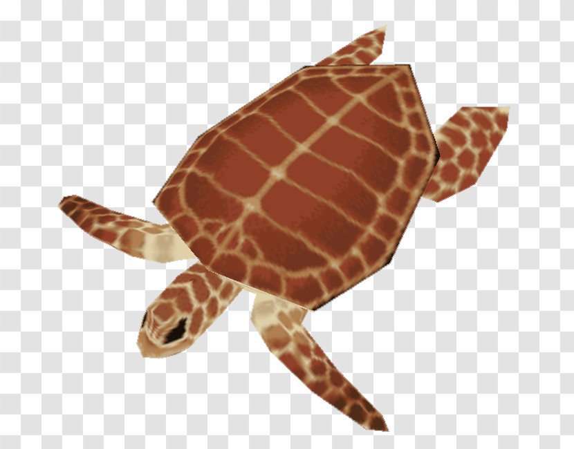 Loggerhead Sea Turtle Stuffed Animals & Cuddly Toys Terrestrial Animal Transparent PNG