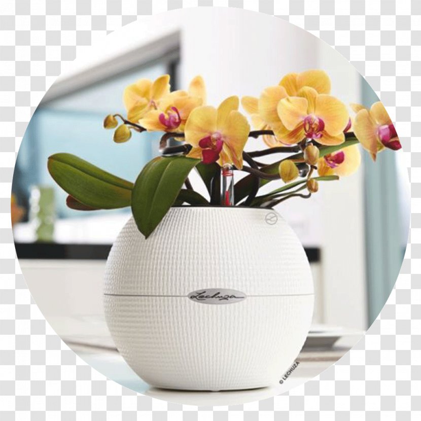 Flowerpot Plant Plastic Ceramic - Flower Transparent PNG
