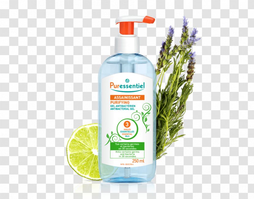 Hand Sanitizer Essential Oil Antibacterial Soap Gel Disinfectants - Aerosol Spray - Tea In The United Kingdom Transparent PNG