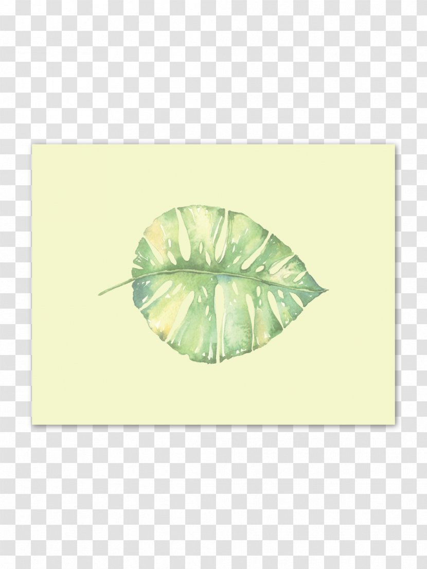 Paper Leaf Art Printmaking Printing - Swiss Cheese Plant - Tropical Rain Forest Transparent PNG