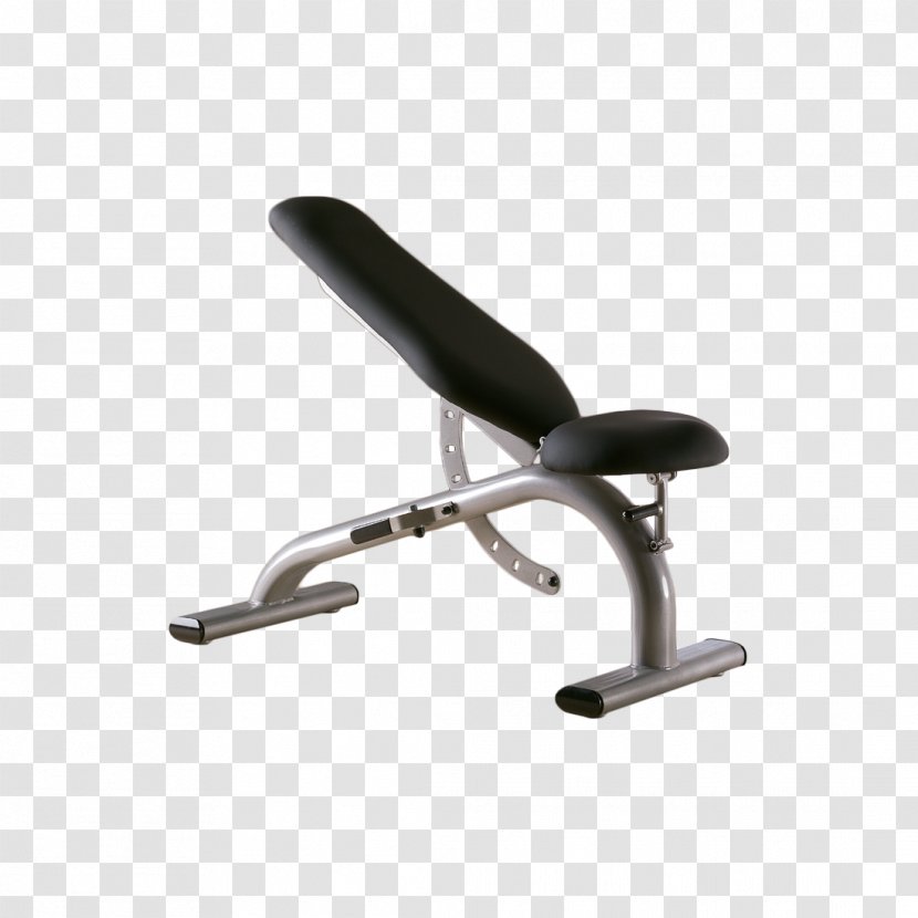 Chair Bench - Olympic Weightlifting Transparent PNG