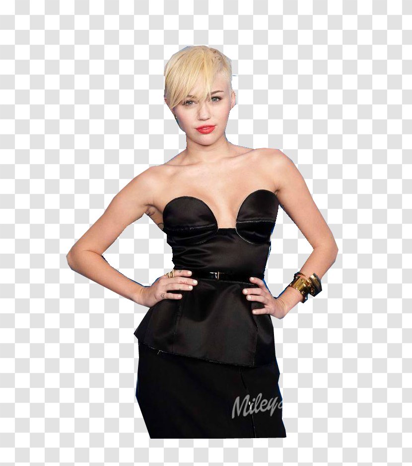 DeviantArt Model Little Black Dress - Frame - Miley Cyrus Transparent PNG