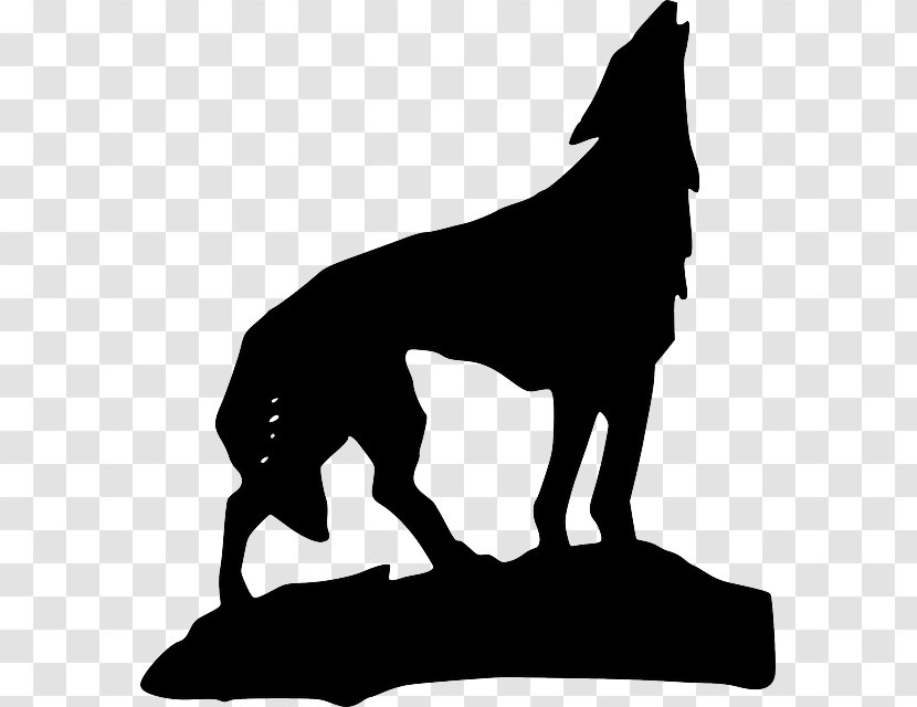 Gray Wolf Aullido Drawing Clip Art - Silhouette - Angry Transparent PNG