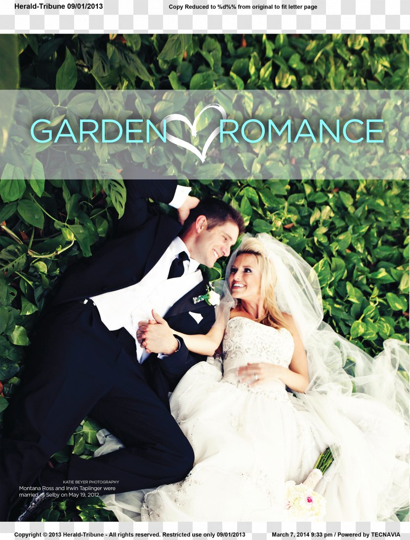 Wedding Dress Floral Design Marriage - Fashion Magazine Transparent PNG