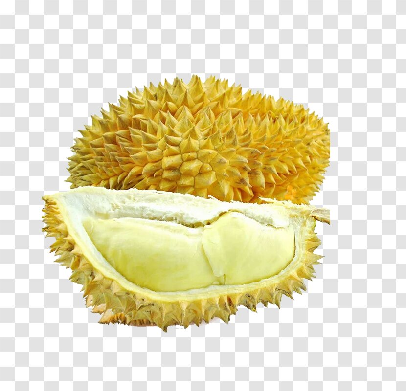 Durio Zibethinus Auglis U679cu8089 Fruit - Food - Cat Sanno Durian Transparent PNG
