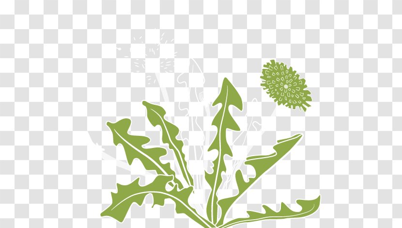 Dandelion Plant Stem Leaf Clip Art Transparent PNG