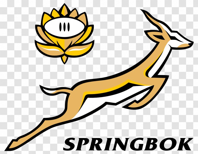 South Africa National Rugby Union Team New Zealand Springbok 2017 Championship Australia - Beak - African Transparent PNG