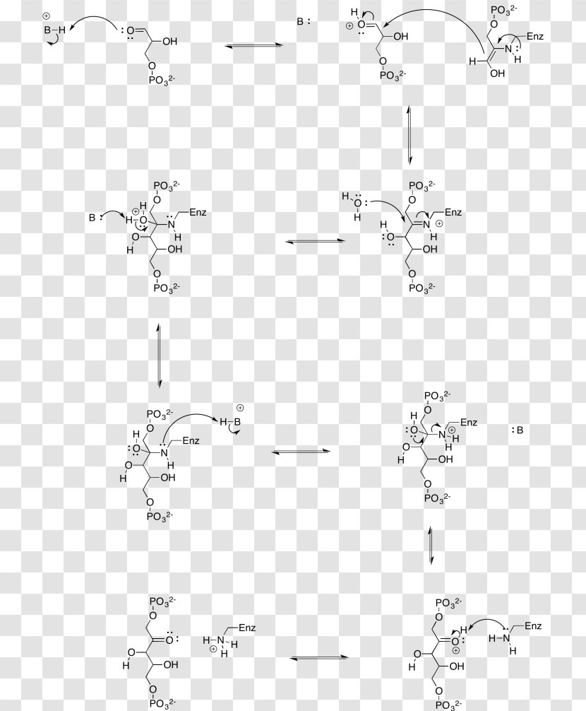 Line Drawing Point Angle /m/02csf Transparent PNG