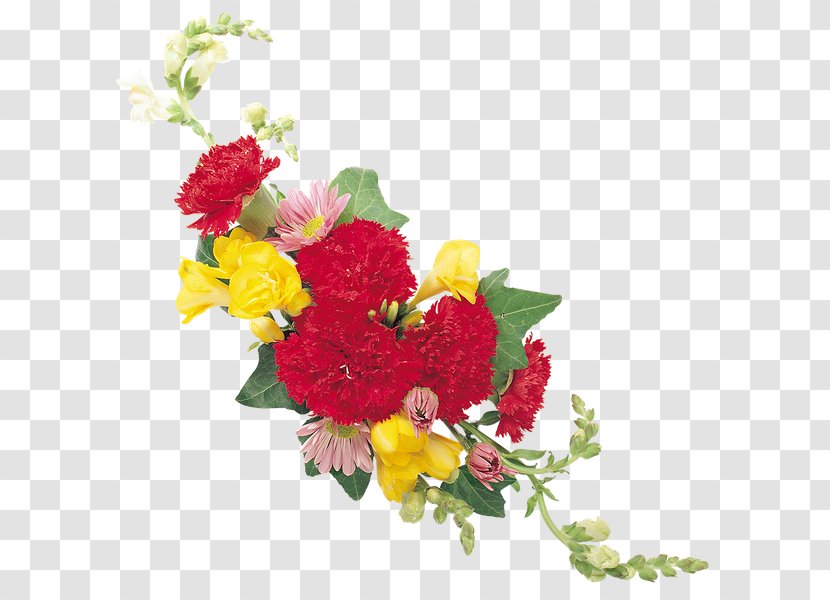 Floral Design Carnation Cut Flowers Rose - Nosegay - Flower Transparent PNG