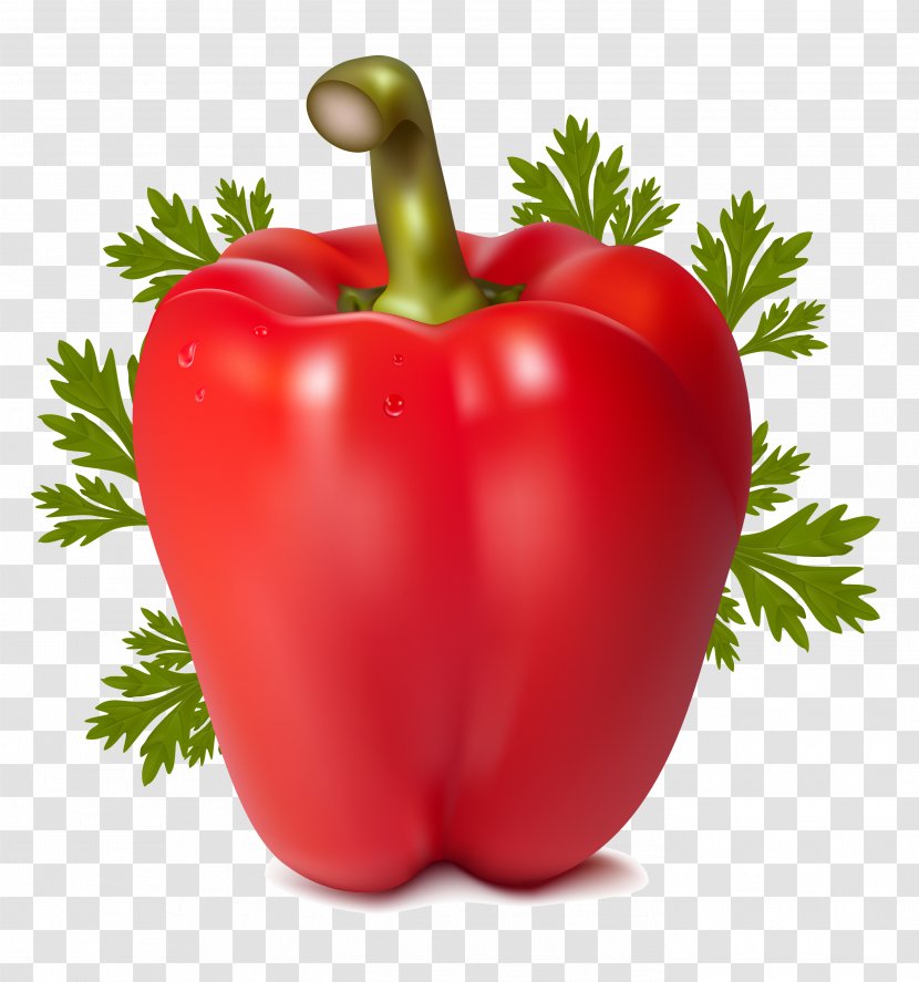 Pepper - Chili - Bush Tomato Transparent PNG