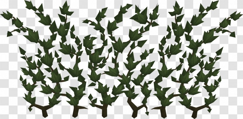 RuneScape Wiki Vine - Ivy - Cape Transparent PNG