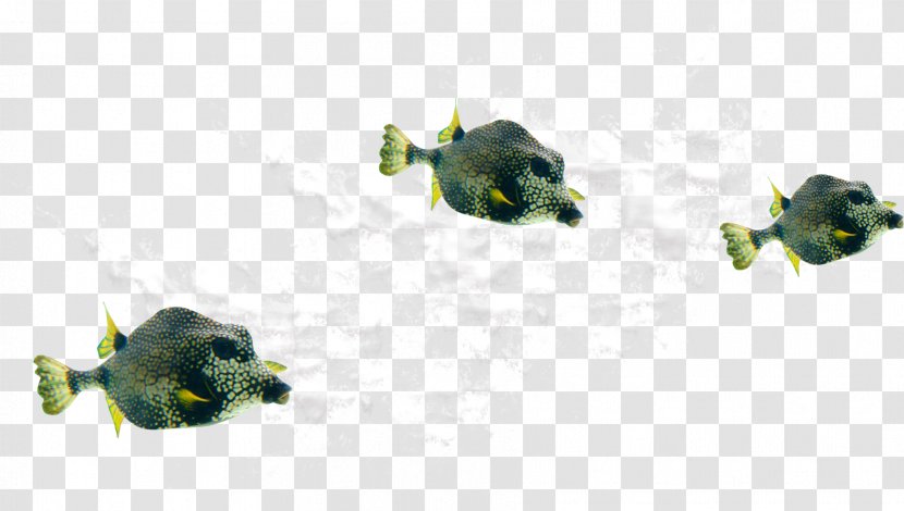 Fish Clip Art - Shoaling And Schooling - Aquarium Transparent PNG