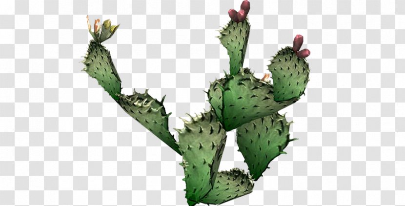 Cactus Prickly Pear Plants Clip Art - Seed Plant - Call To Action Transparent PNG