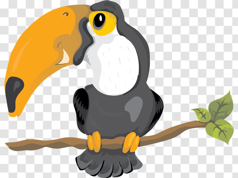 Bird Toucan Clip Art - Organism Transparent PNG