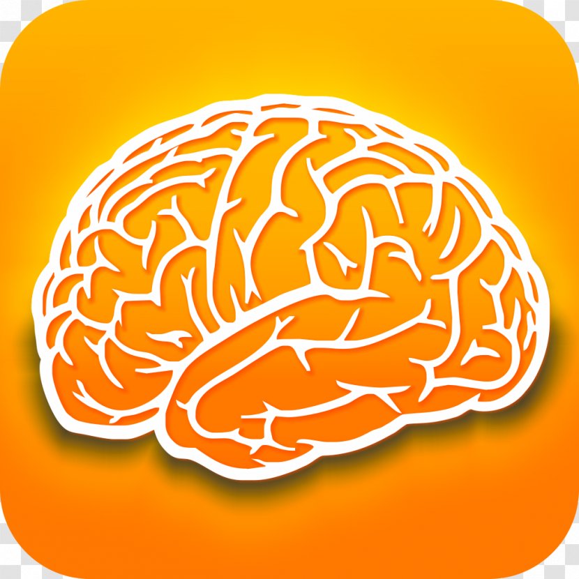 Human Brain Dietary Supplement Research Nootropic - Frame - Intellectual Transparent PNG