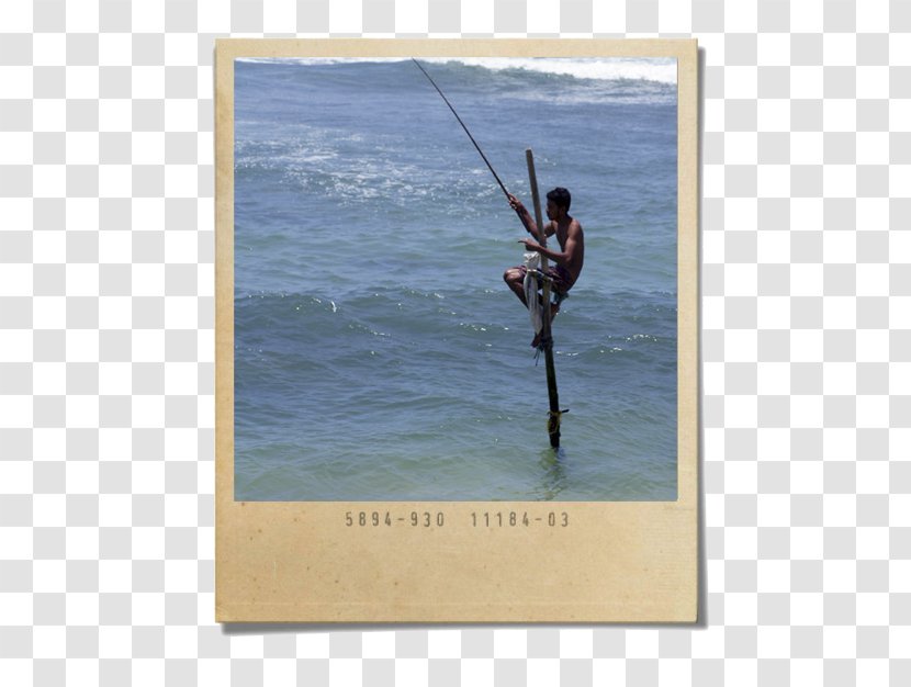 Casting Fishing Rods Water Vacation Transparent PNG