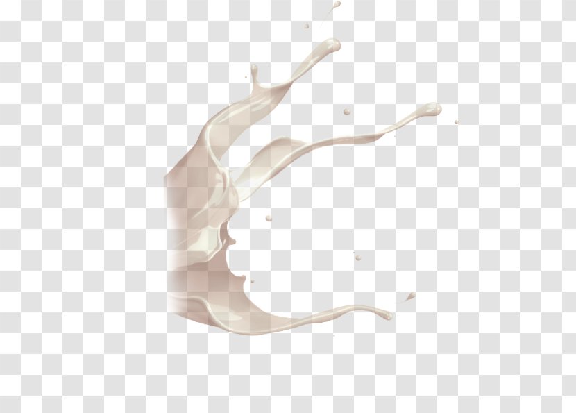 White Nose Beige Branch Drawing Transparent PNG