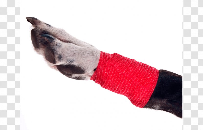 Elastic Bandage Adhesive Athletic Taping Dressing - Dog Transparent PNG