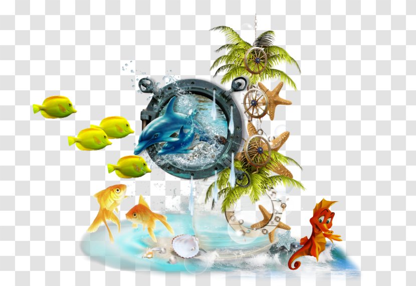 Fish Summer Hit Image - Photography Transparent PNG
