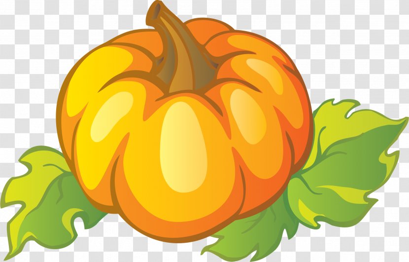 Pumpkin Cucurbita Vegetable Gourd Clip Art - Calabaza - Halloween Transparent PNG