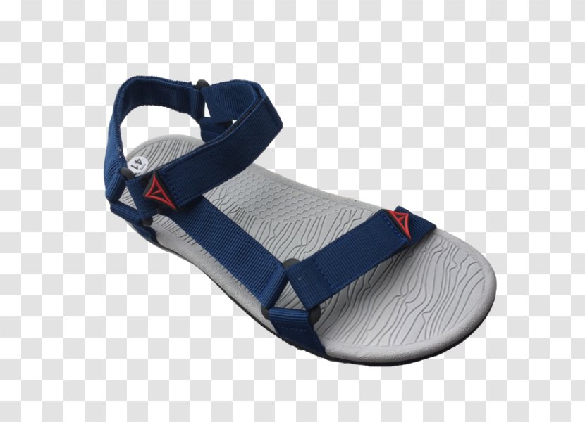 Sandal Slipper Shoe Sneakers Flip-flops Transparent PNG