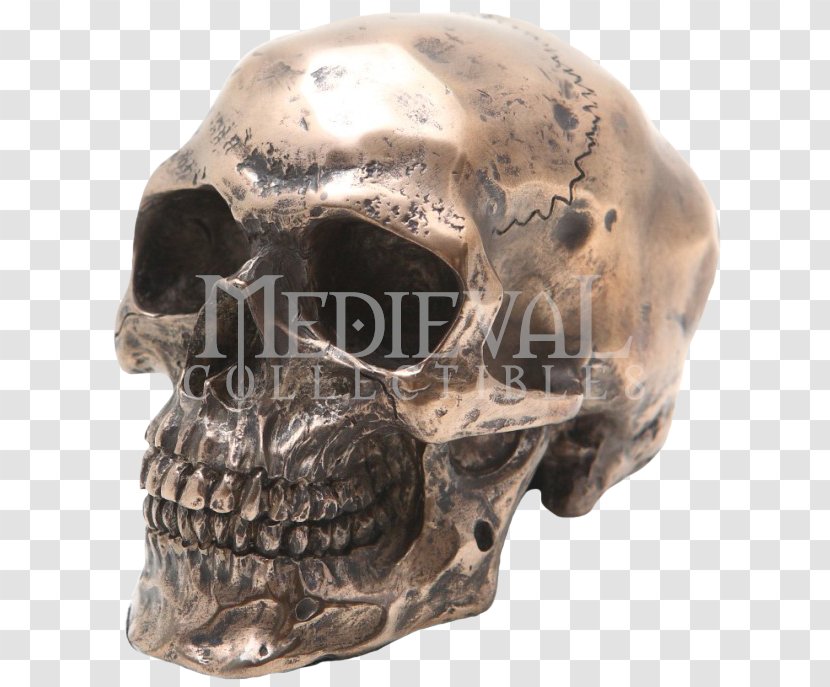 Skull Human Skeleton Resin Figurine - Bronze Sculpture Transparent PNG